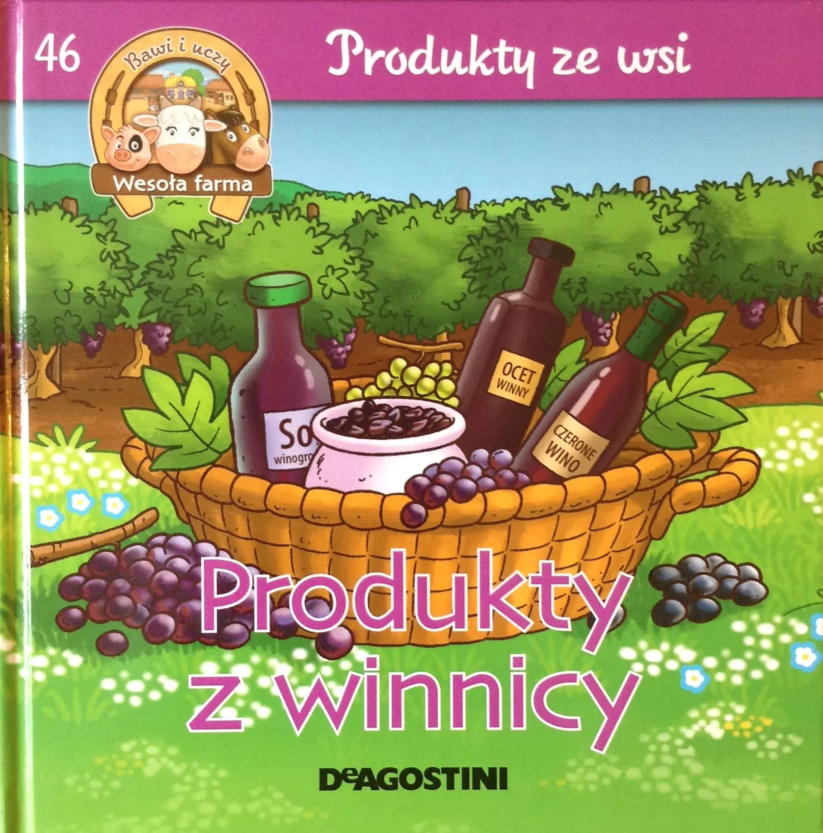 Książka - 46 Produkty ze wsi Produkty z winnicy