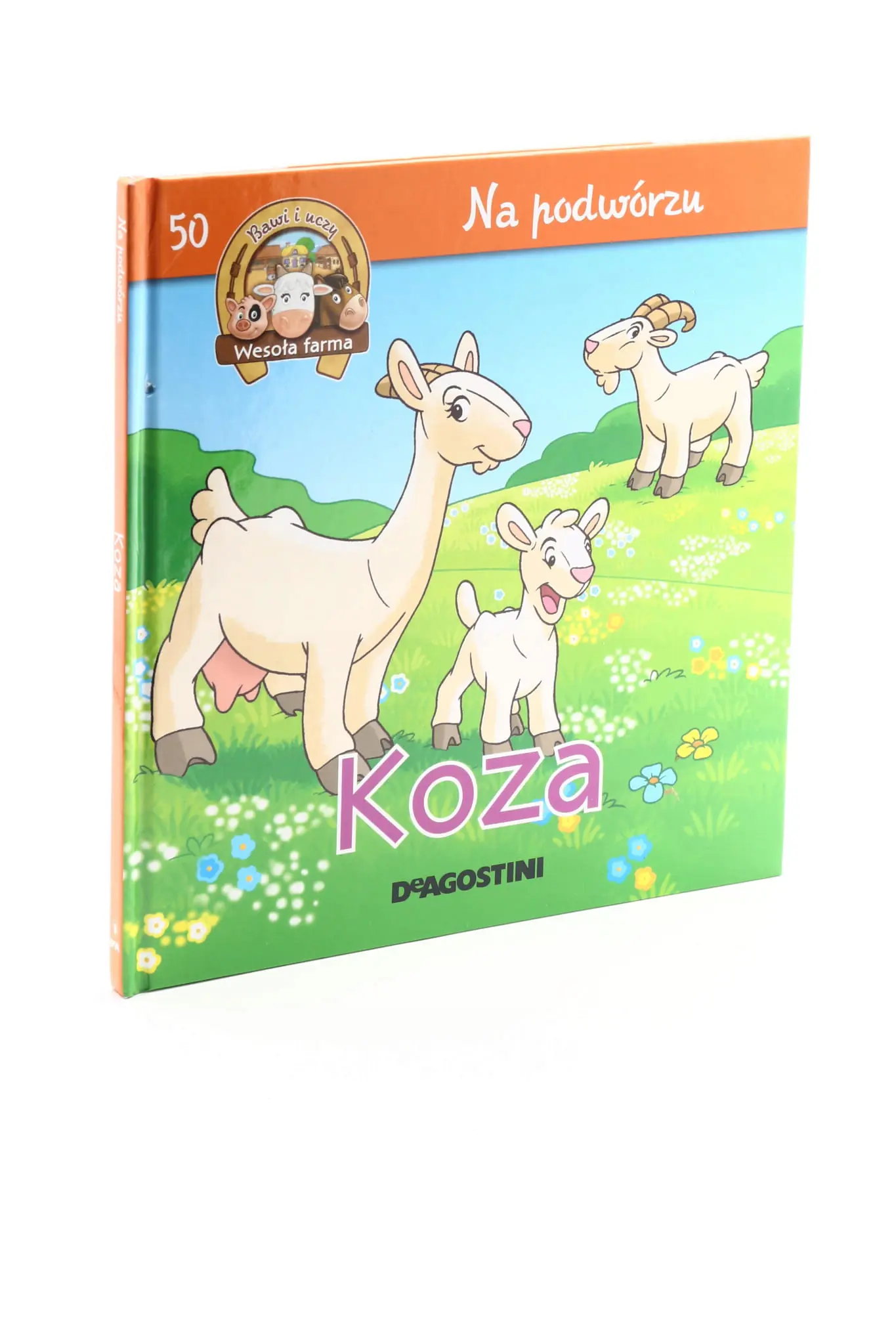 Książka - Na podwórzu Koza