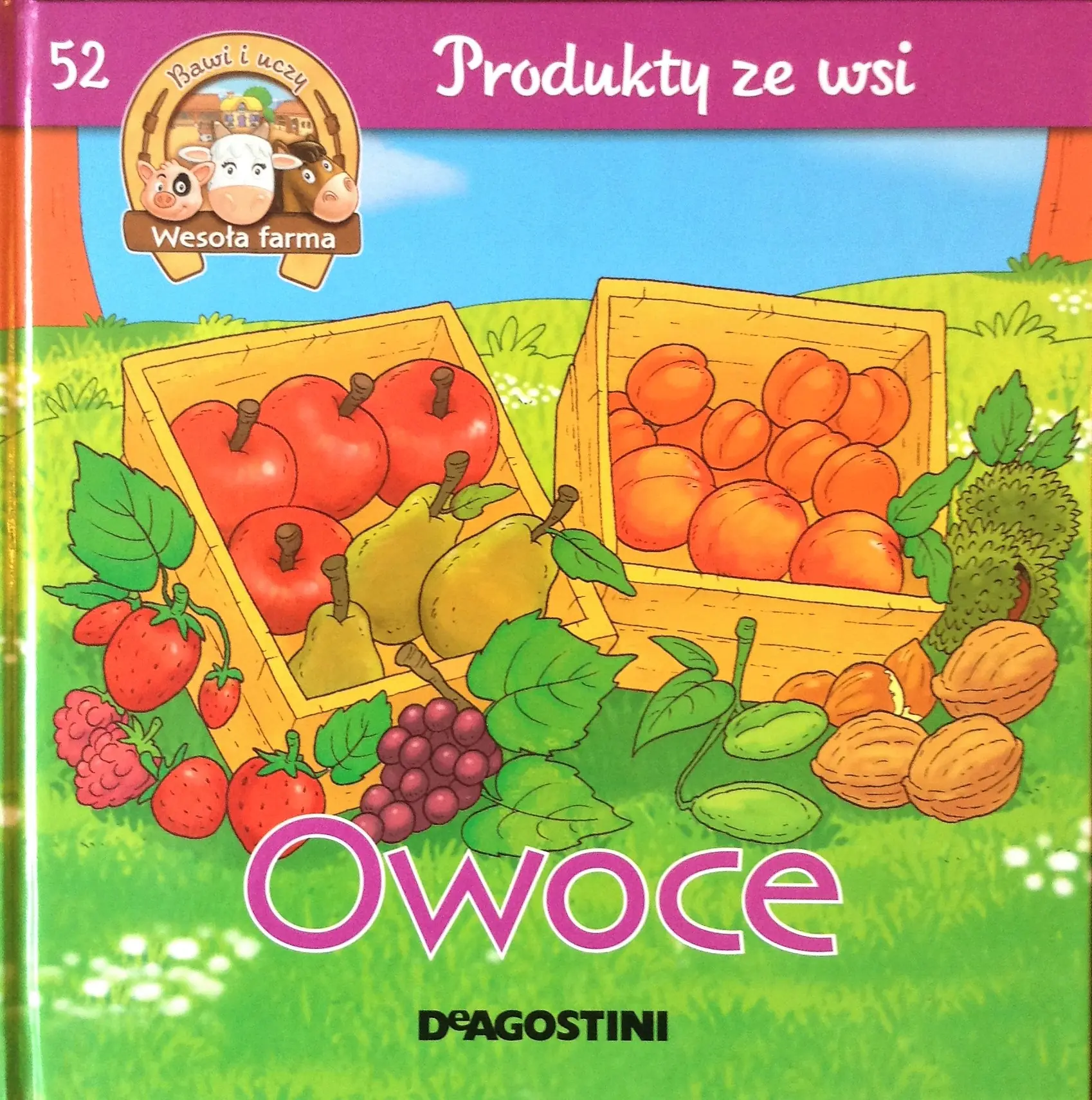 Książka - 52 Produkty ze wsi Owoce