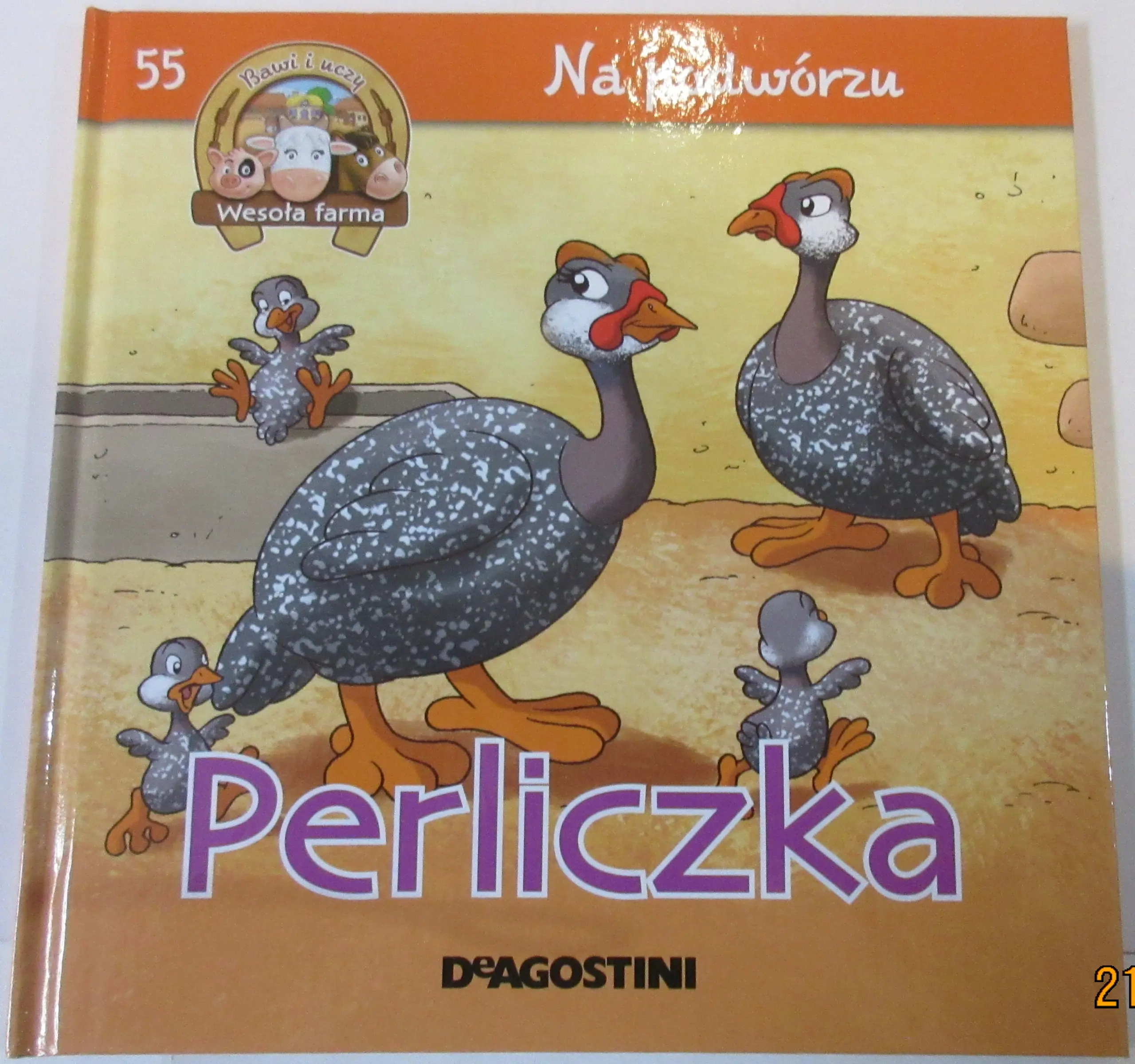 Książka - Na podwórzu Perliczka