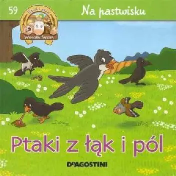 Książka - Ptaki z łąki i pól