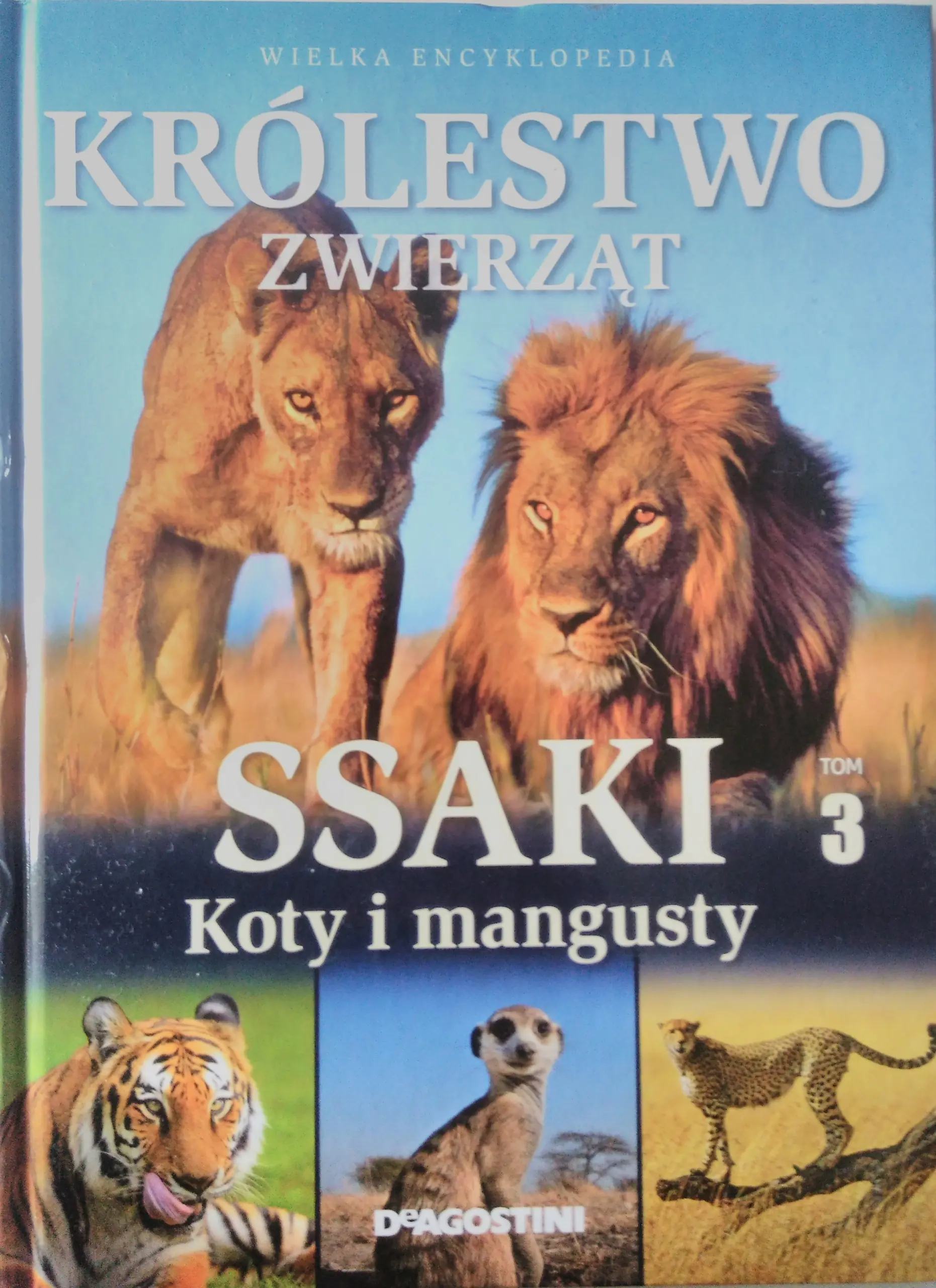 Książka - Ssaki. Koty i mangusty