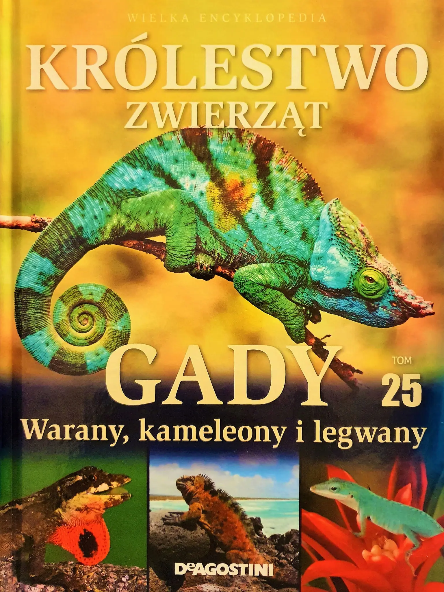 Książka - KRÓLESTWO ZWIERZĄT GADY WARANY KAMELEONY LEGWANY