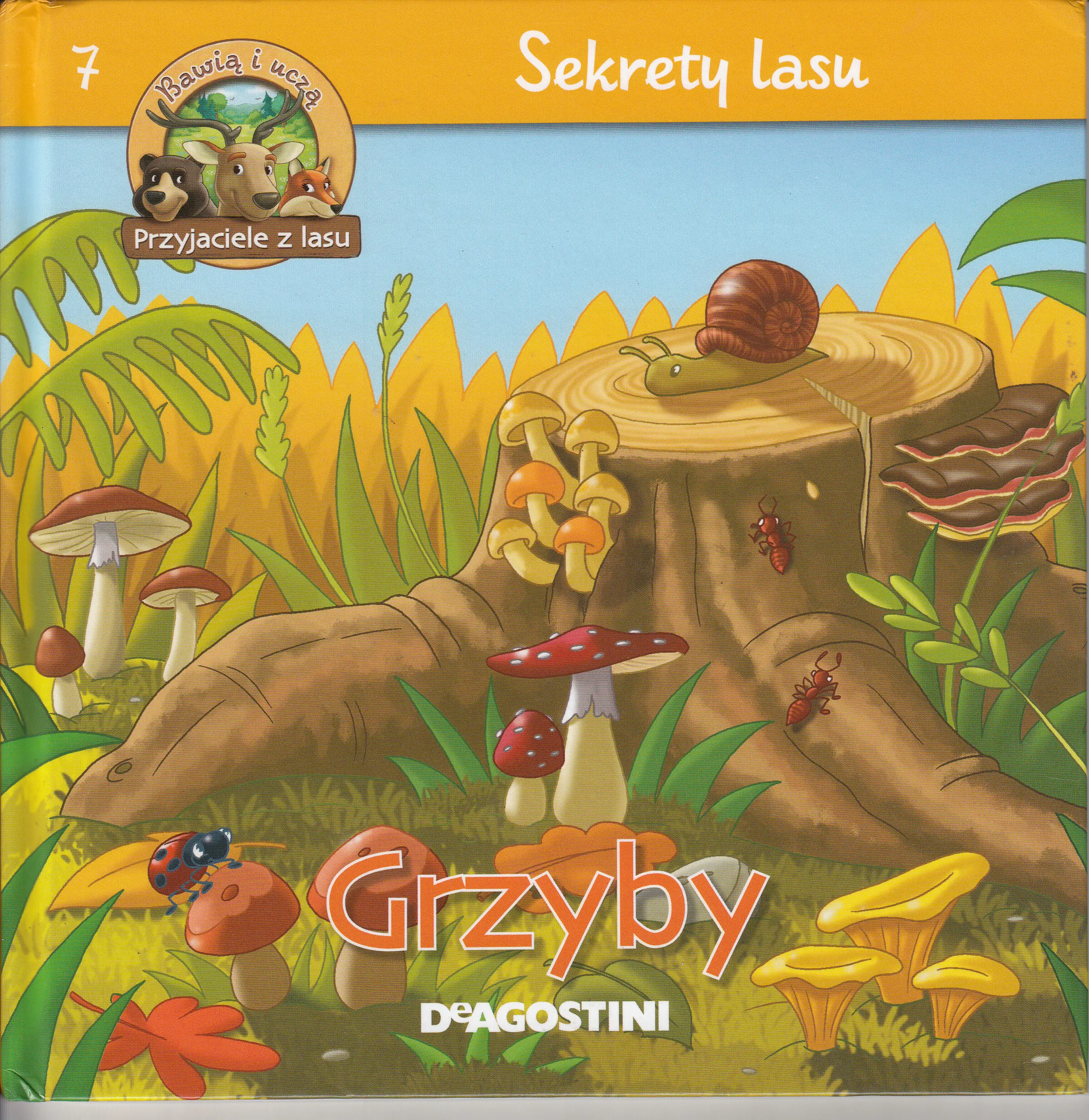 Książka - Sekrety lasu * Grzyby 7