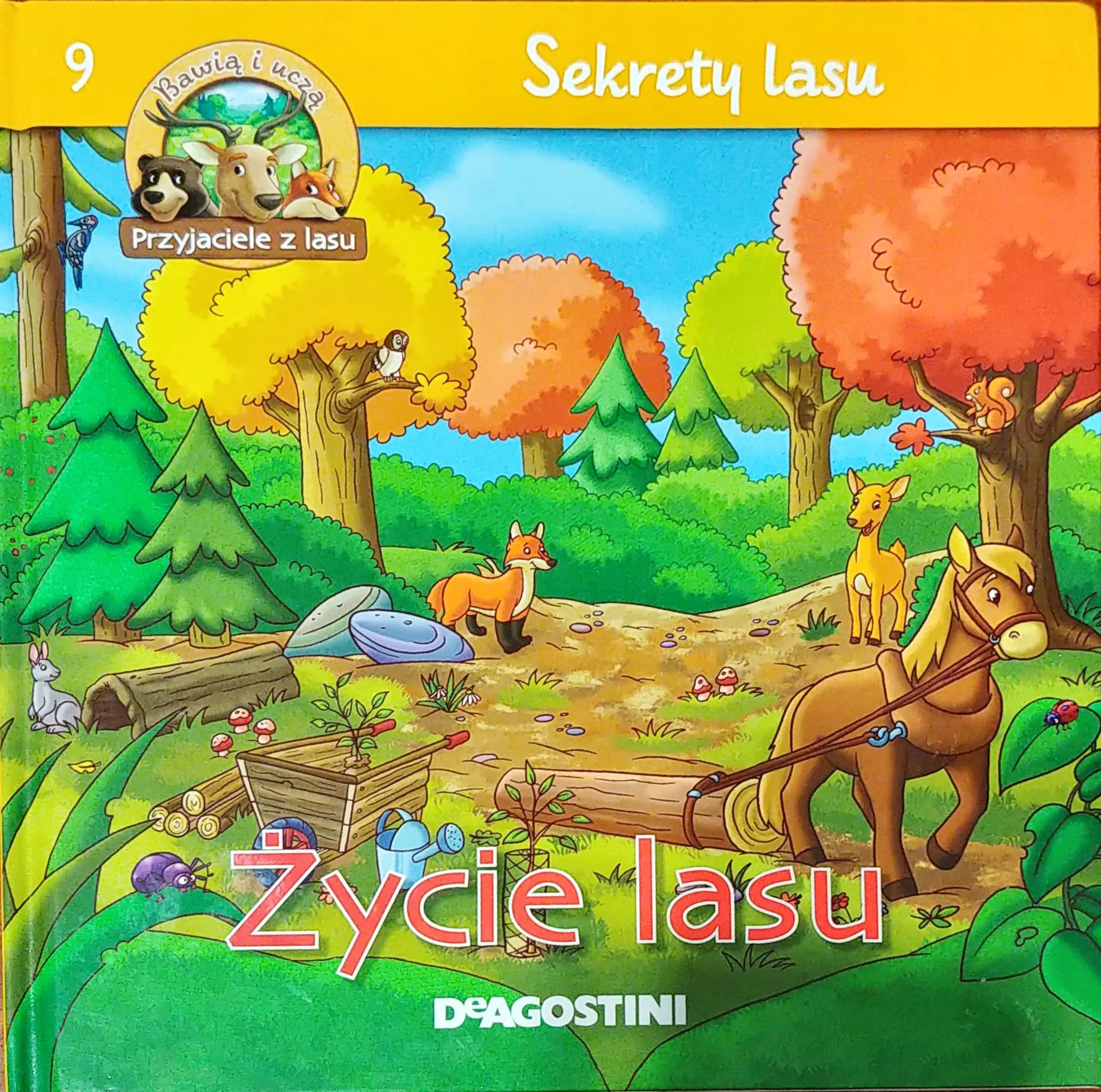 Książka - Życie lasu Sekrety lasu