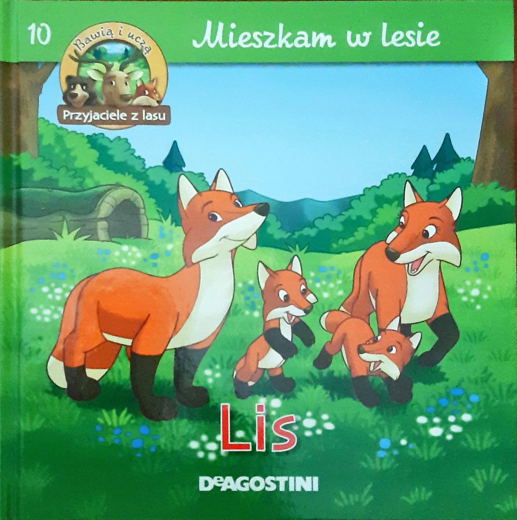Książka - Mieszkam w lesie Lis