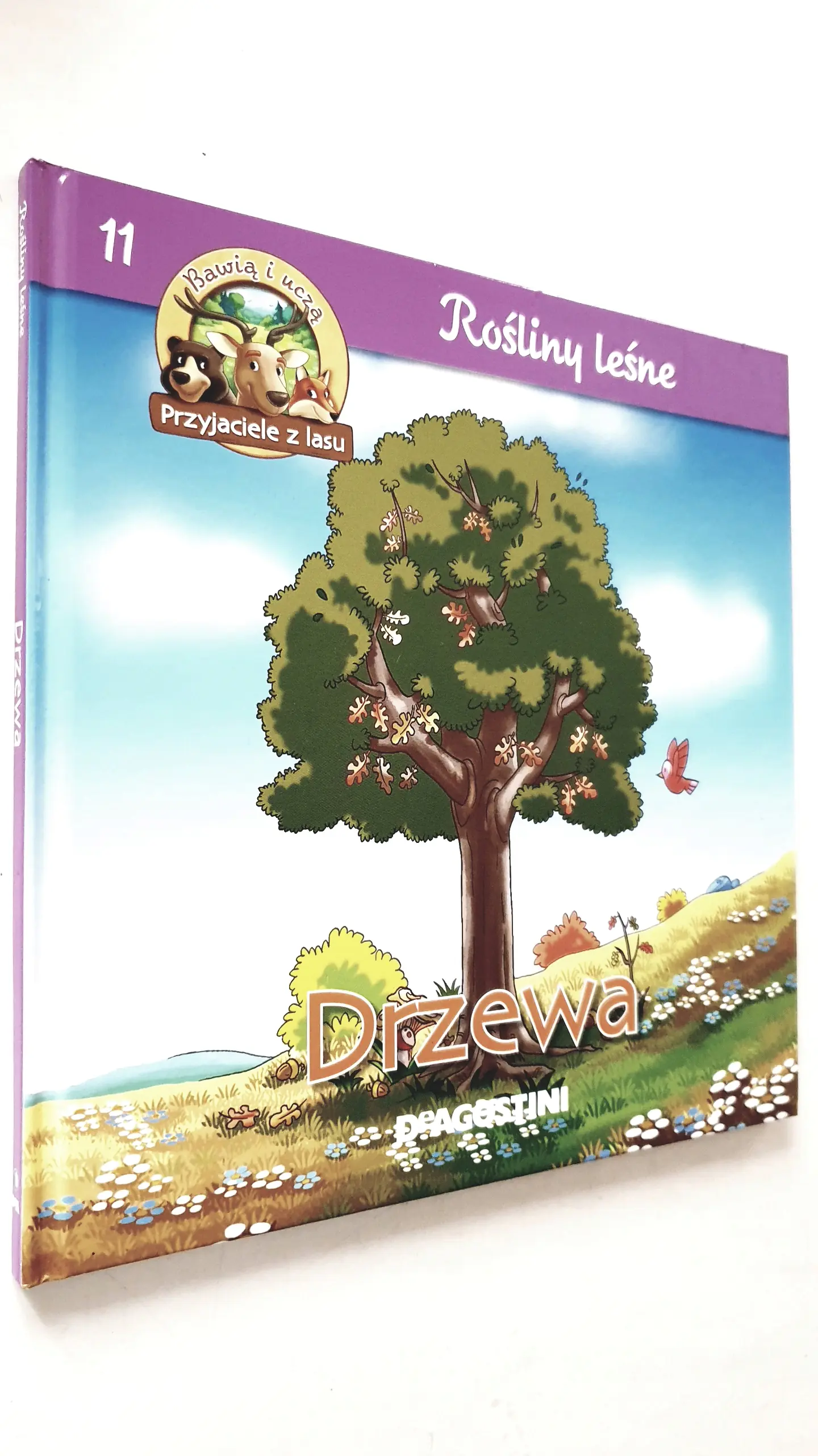 Książka - Przyjaciele z lasu Rośliny leśne Drzewa 11