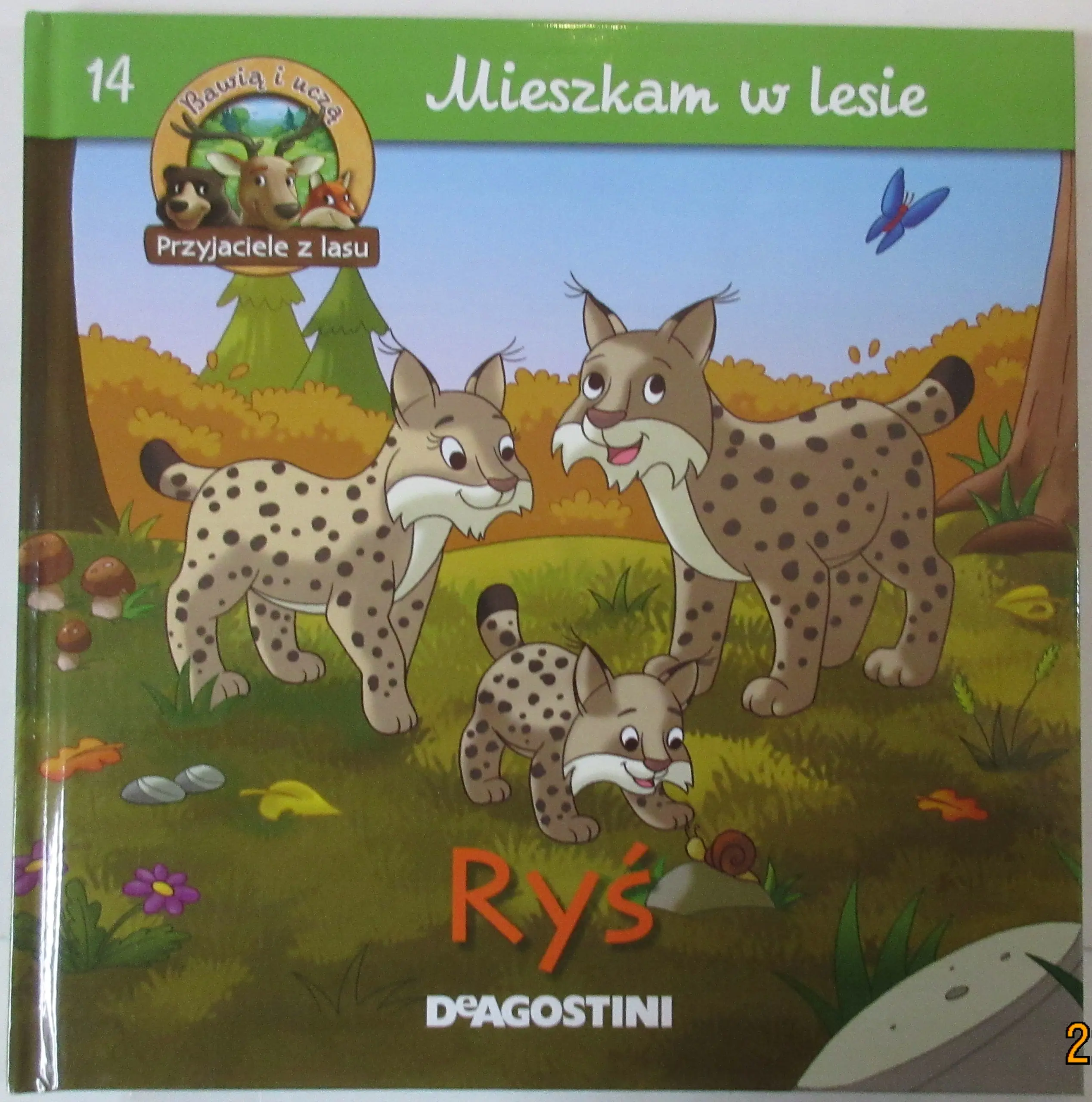 Książka - Mieszkam w lesie Ryś
