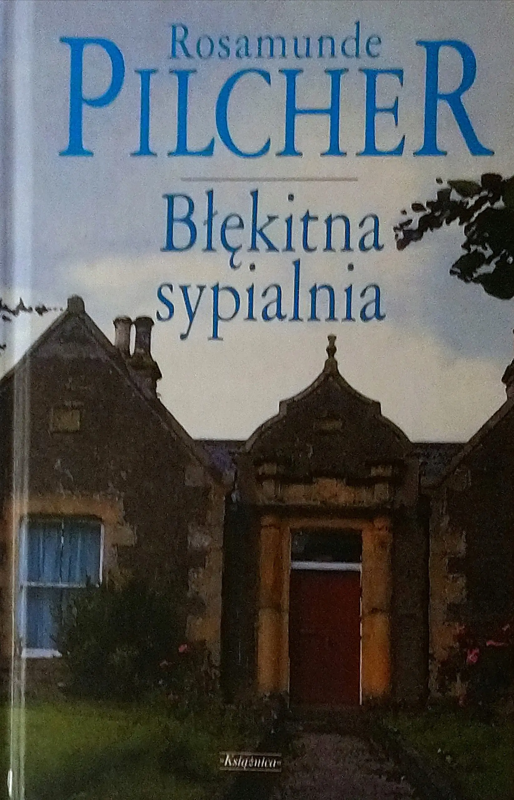 Książka - Błękitna sukienka