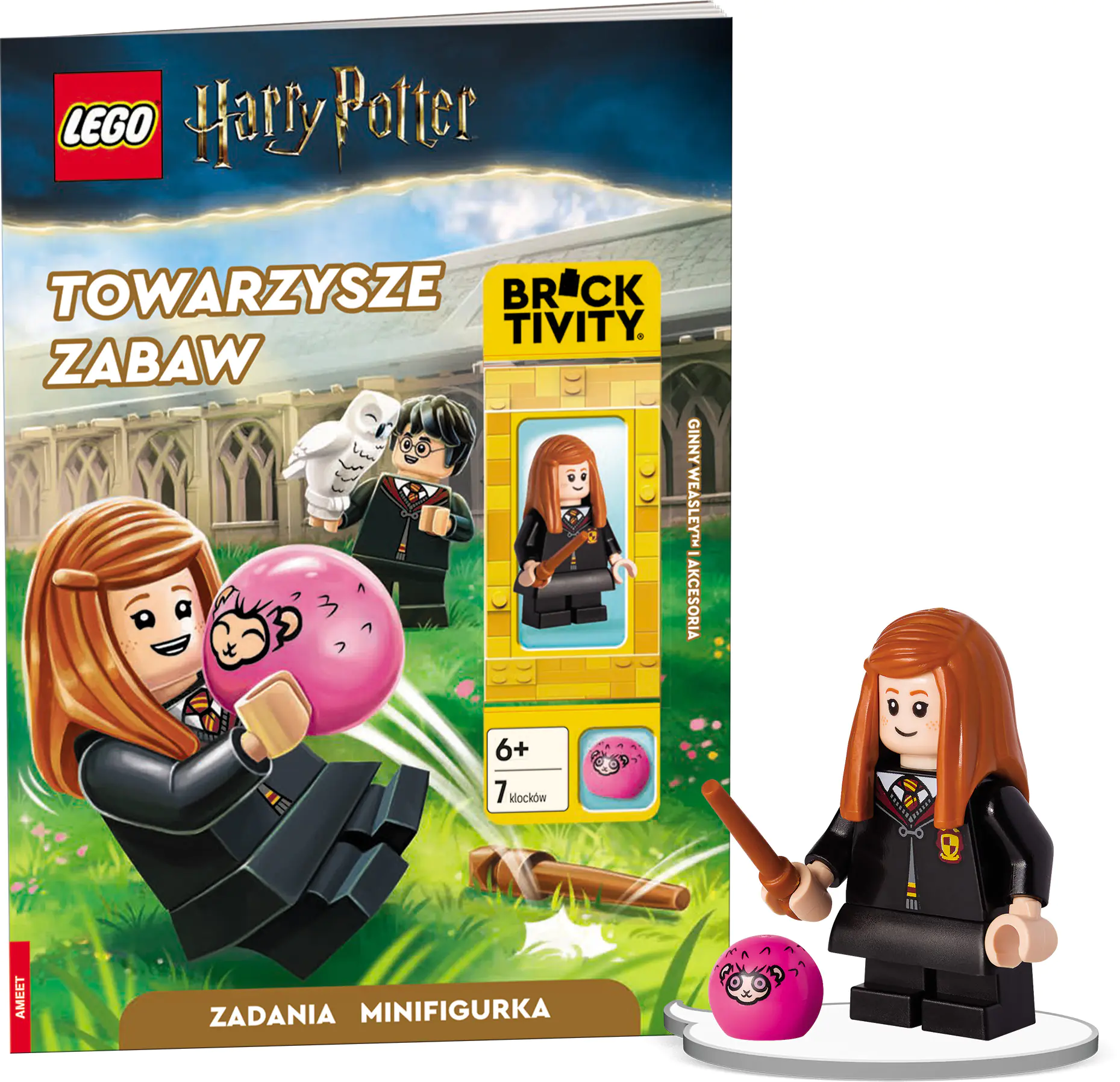 Książka - LEGO Harry Potter. Towarzysze zabaw