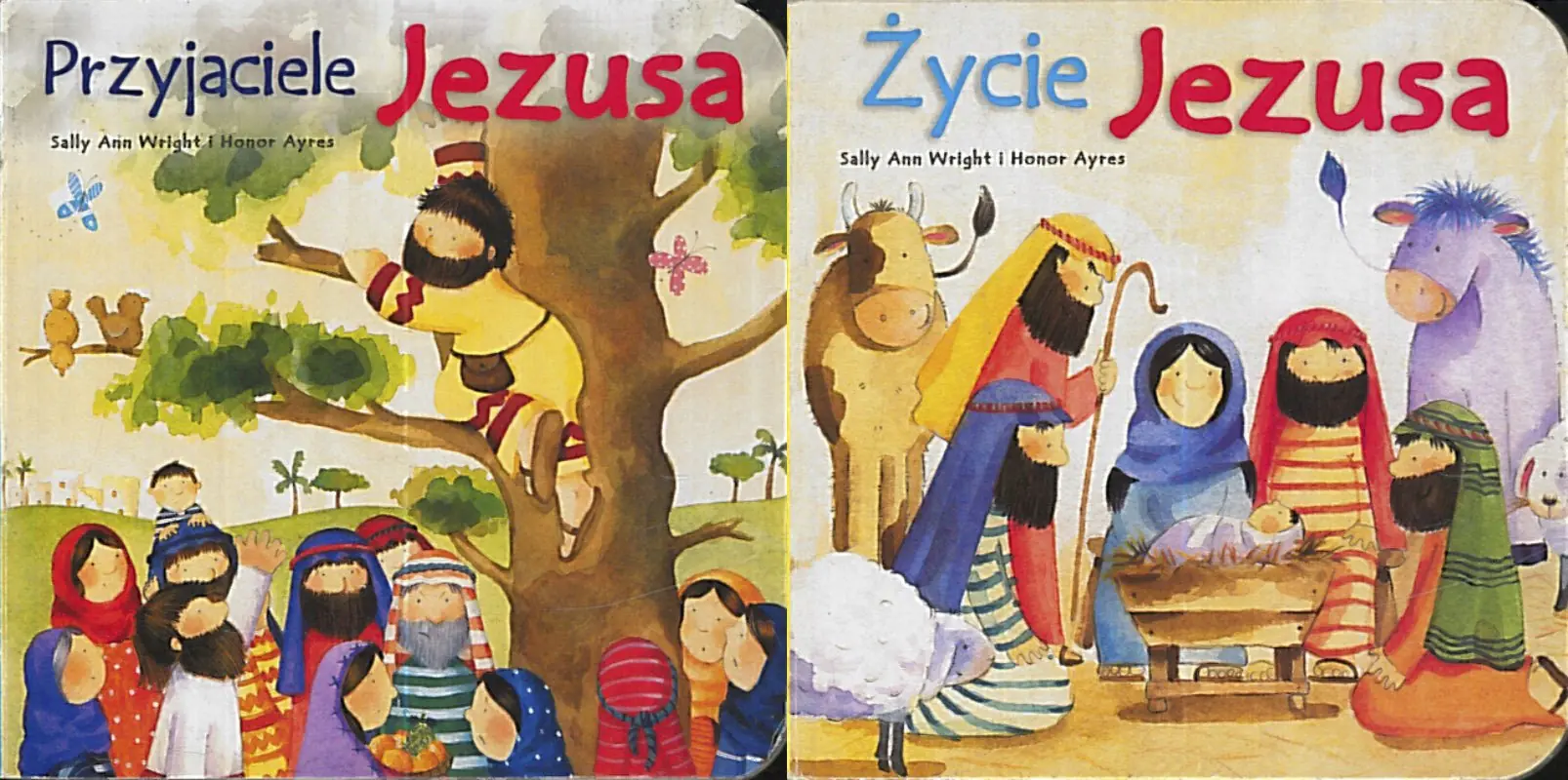 Książka - Przyjaciele Jezusa