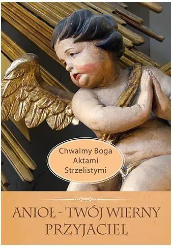 Książka - Anioł. Twój wierny przyjaciel