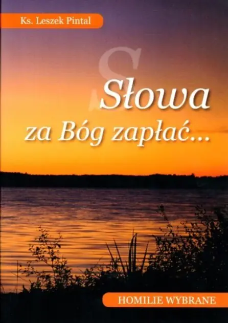Książka - Słowa za Bóg zapłać. Homilie wybrane