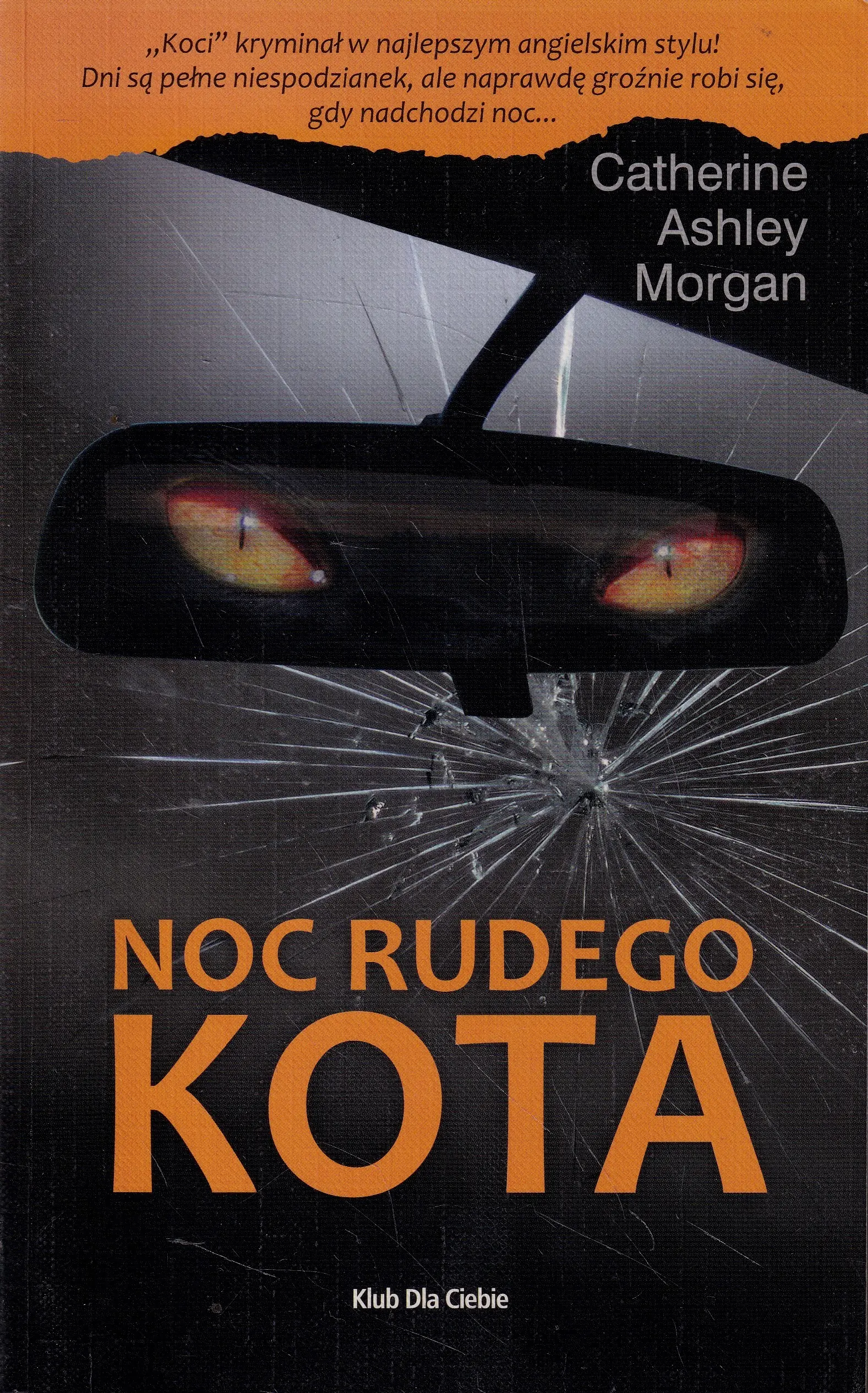 Książka - Noc rudego kota 
