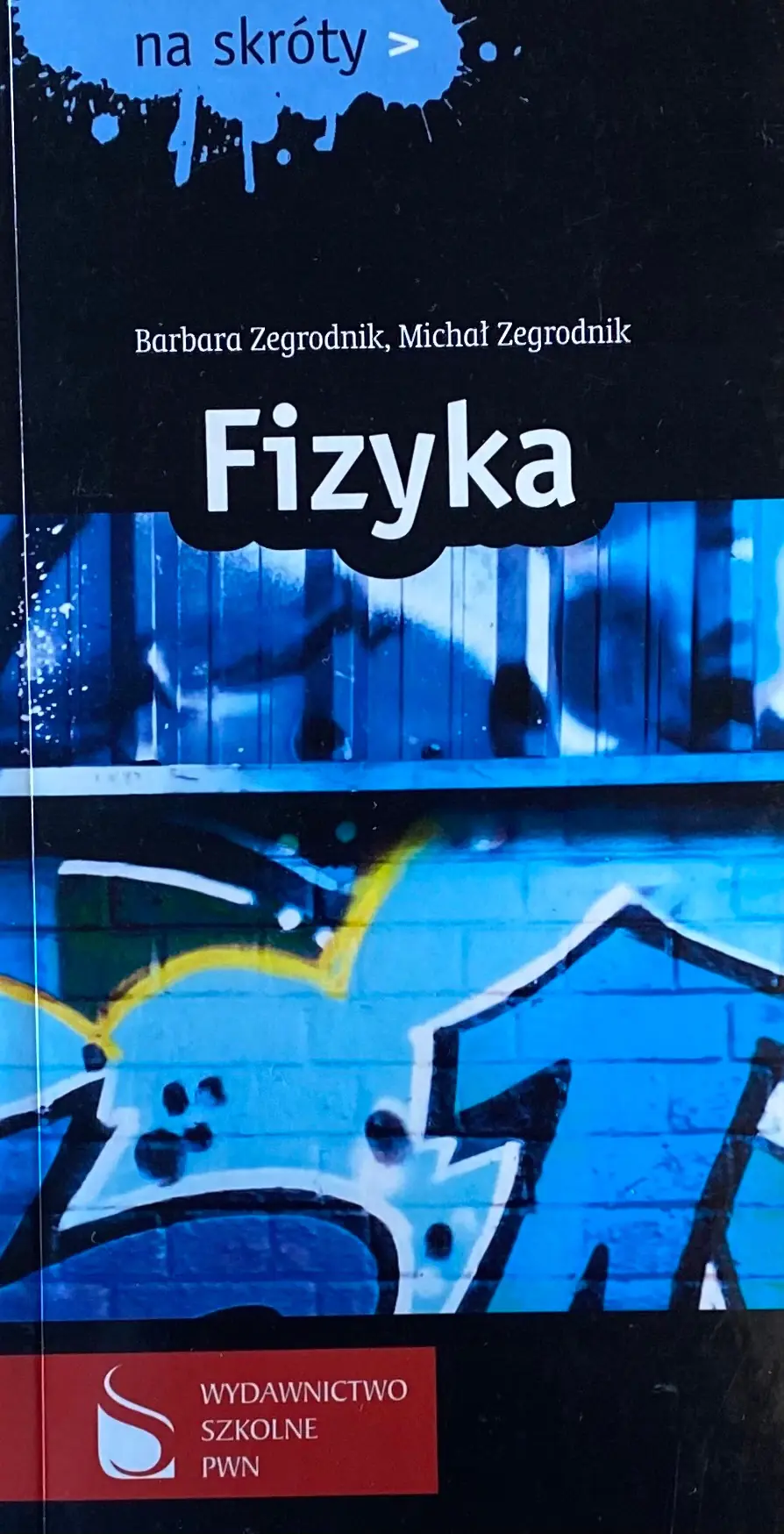 Książka - Fizyka. Na skróty