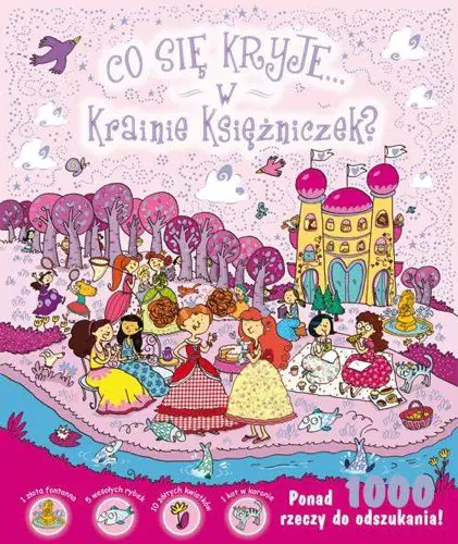 Książka - Co się kryje w Krainie Księżniczek?