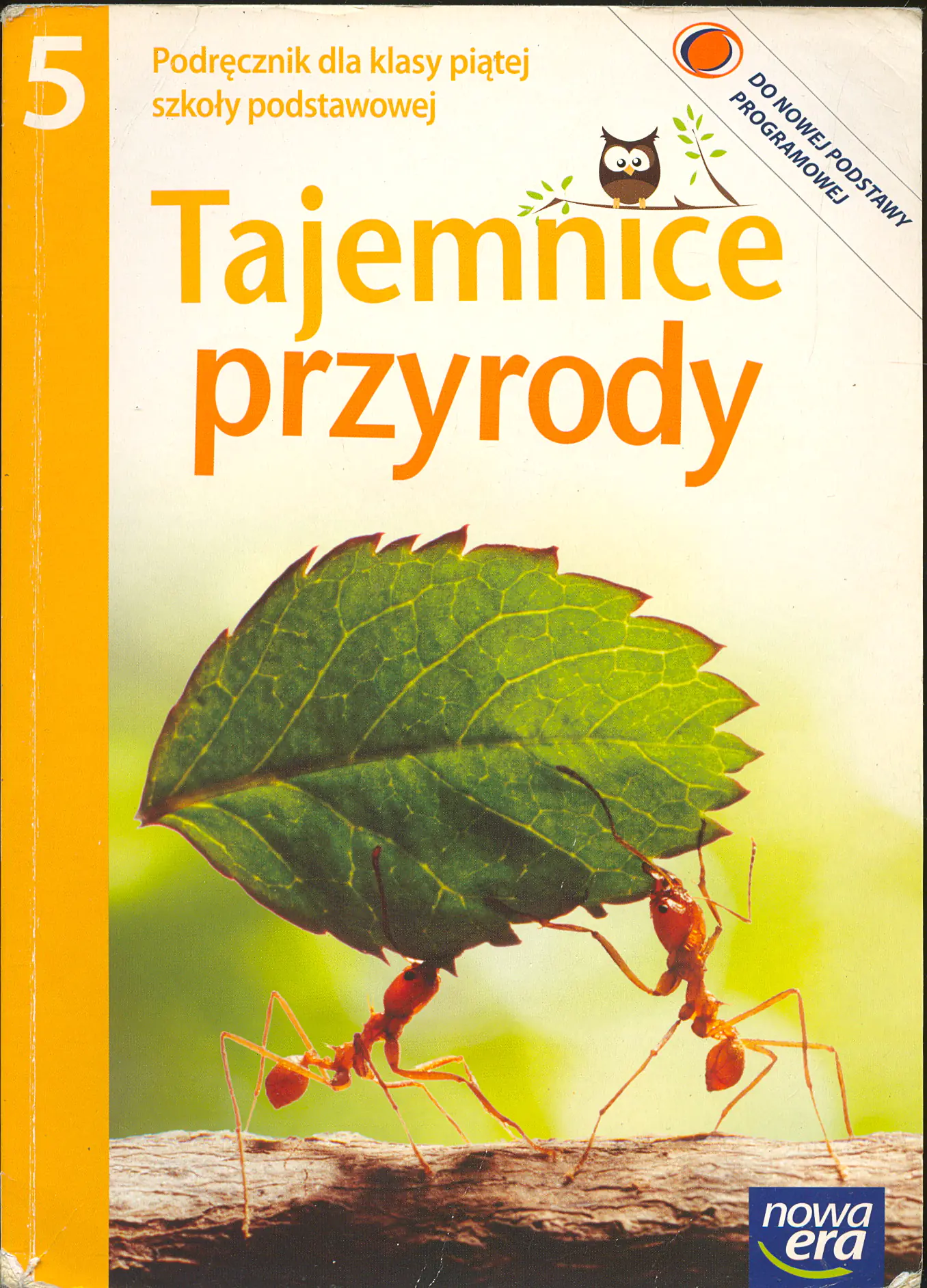 Książka - Tajemnice przyrody 5. Podręcznik. Szkoła podstawowa