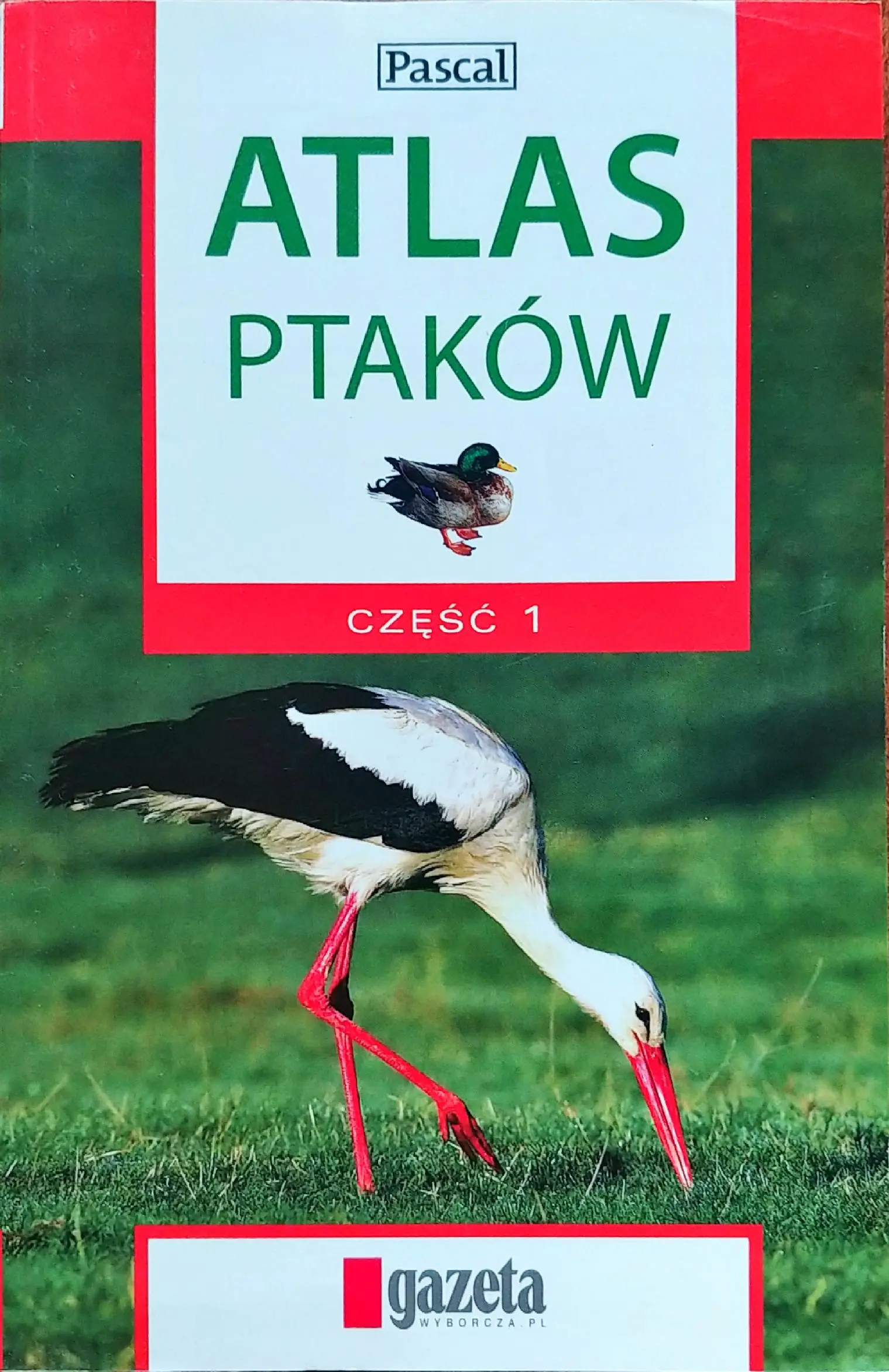Książka - Atlas ptaków cz. 1