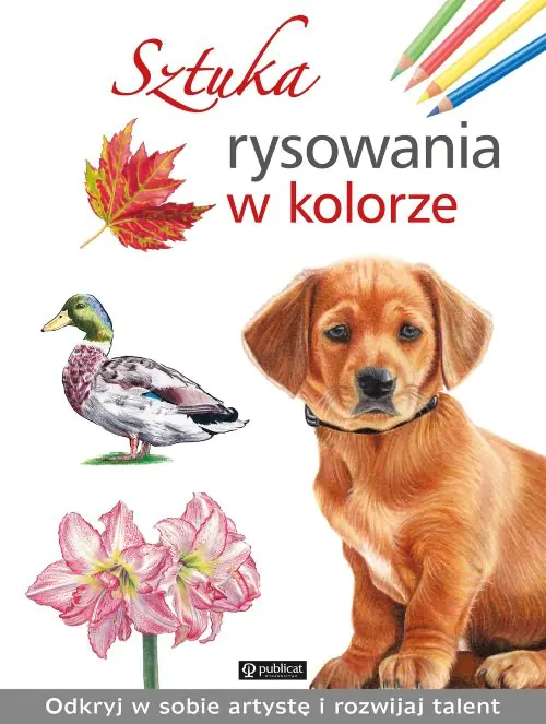 Książka - Sztuka rysowania w kolorze