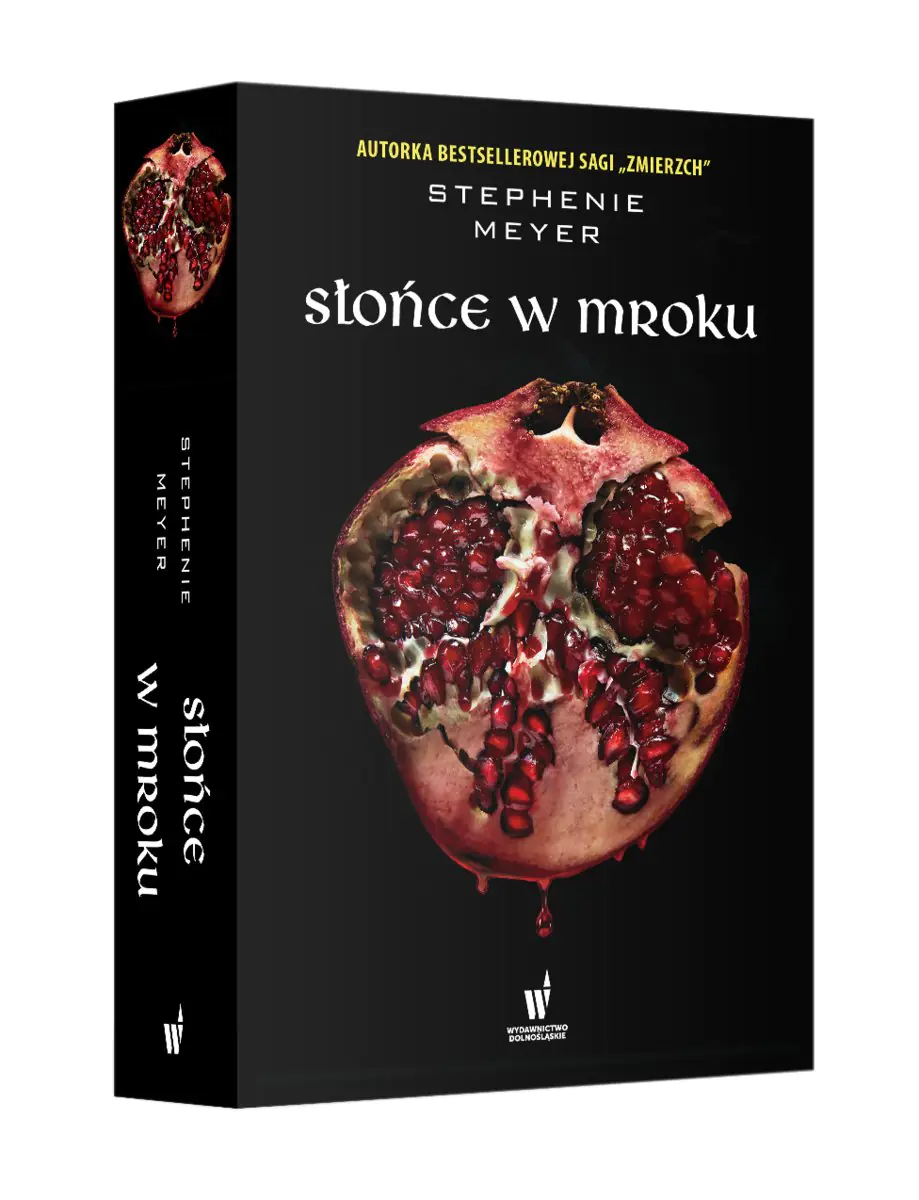 Książka - Słońce w mroku