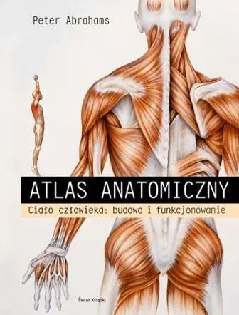 Książka - Atlas anatomii. Outlet