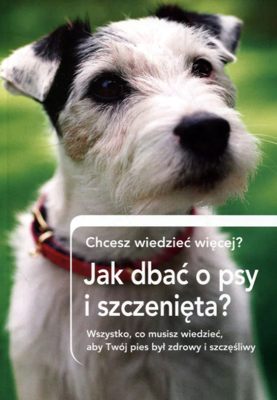 Książka - Jak dbać o psy i szczenięta?