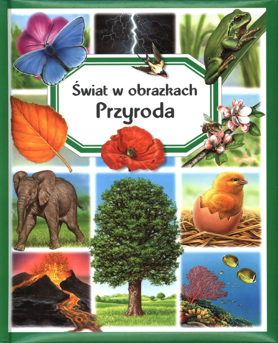 Książka - Świat w obrazkach - Przyroda TW