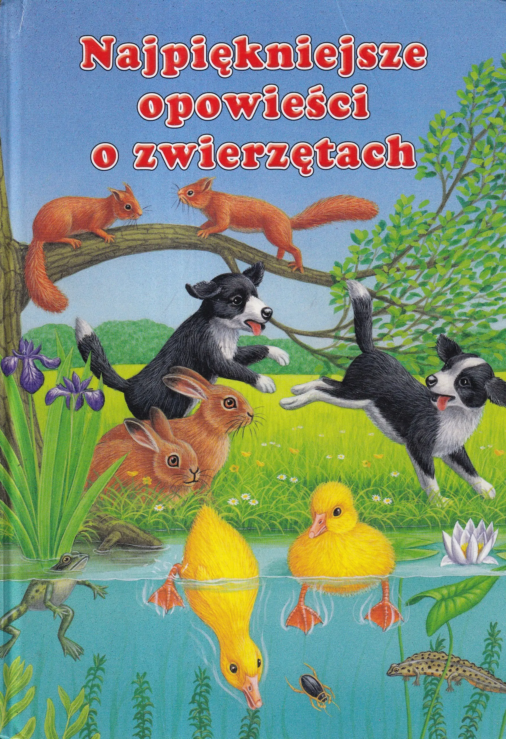 Książka - Najpiękniejsze opowieści o zwierzętach