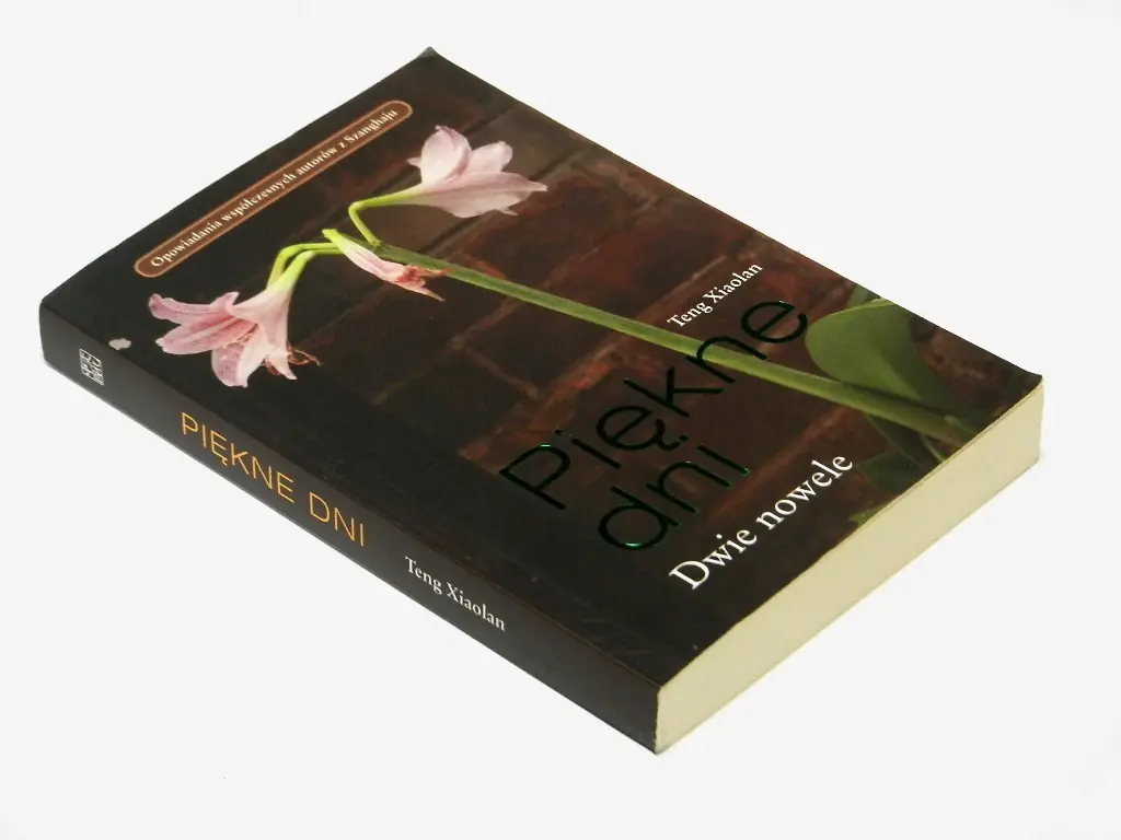 Książka - Piękne dni