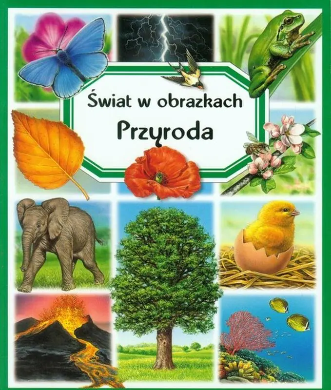 Książka - Przyroda. Świat w obrazkach