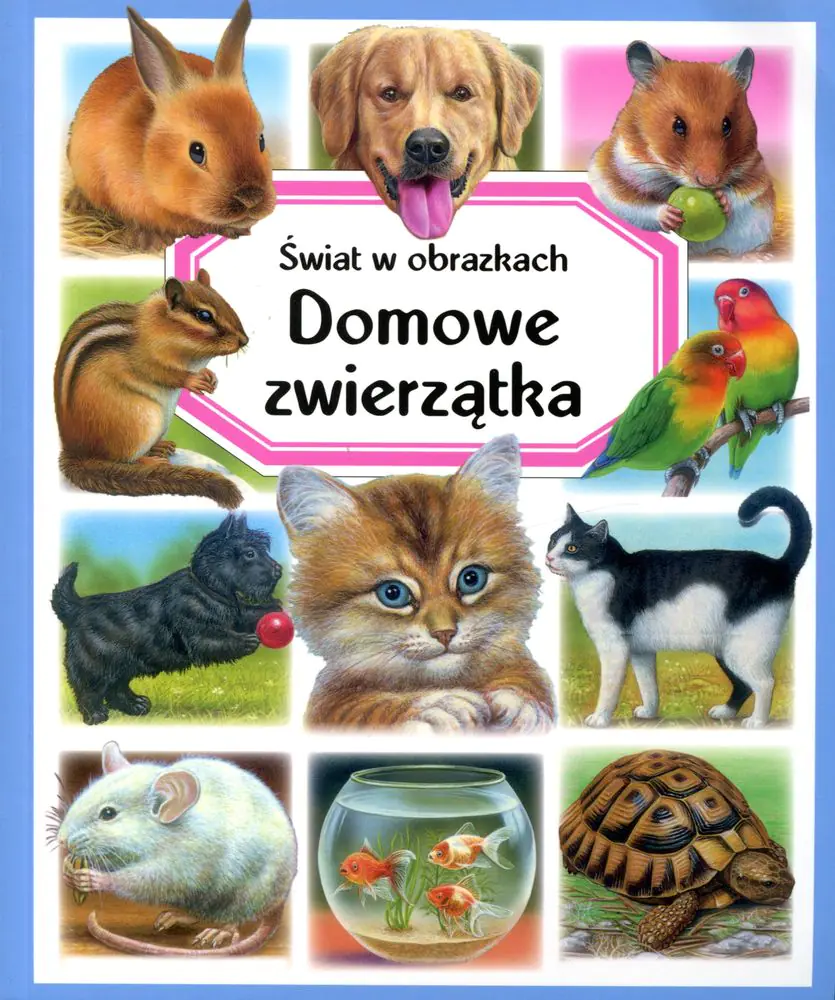 Książka - Świat w obrazkach - Domowe zwierzątka