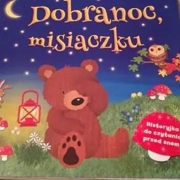 Książka - Dobranoc Misiaczku