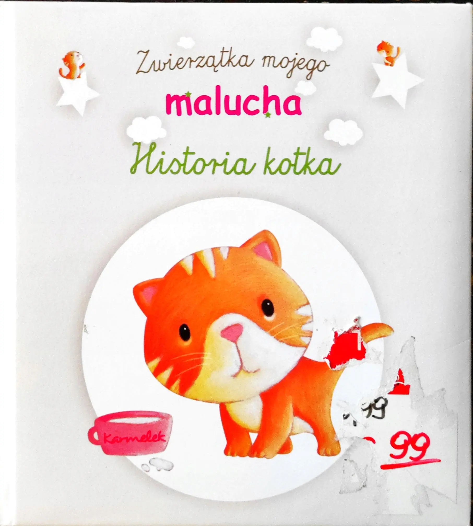 Książka - Historia kotka