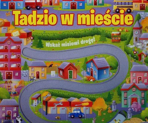 Książka - Tadzio w mieście