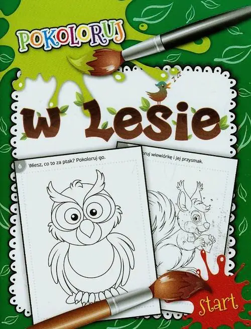 Książka - W lesie. Pokoloruj