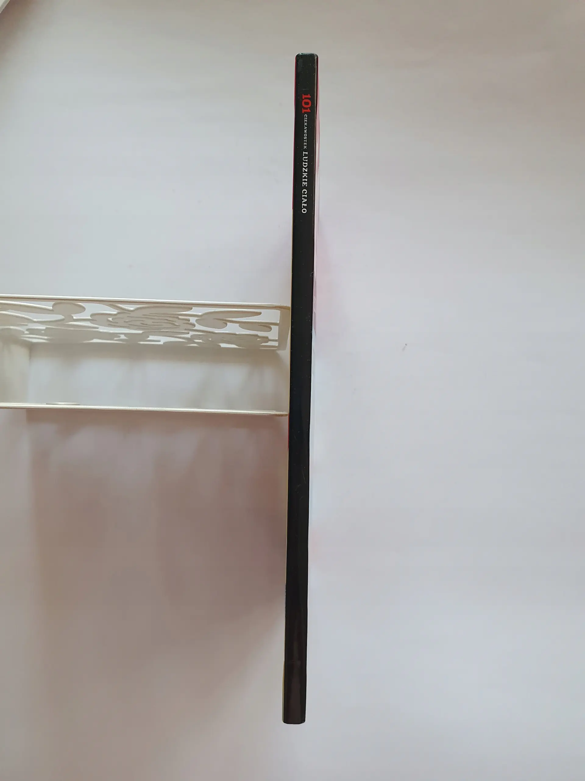 Książka - 101 ciekawostek. Ludzkie ciało - Miriam Baquero, Niko Dominiguez 