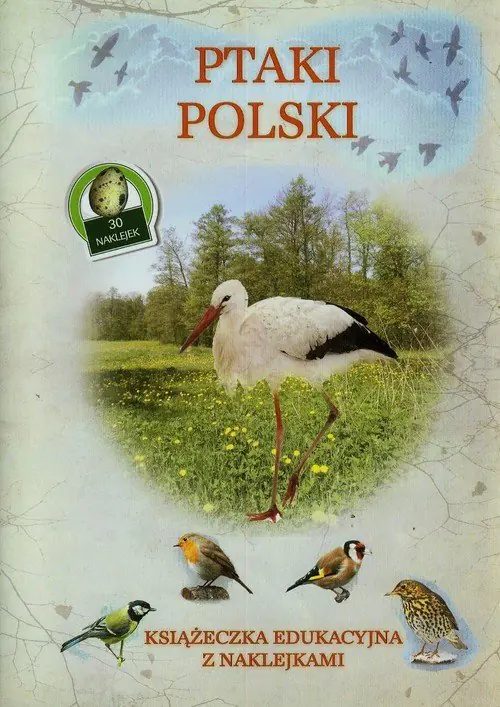 Książka - Książeczka edukacyjna. Ptaki Polski