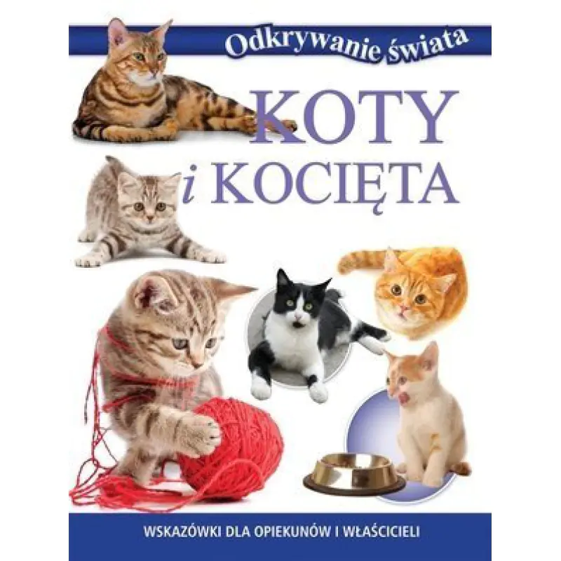 Książka - Odkrywanie świata - Koty i kocięta