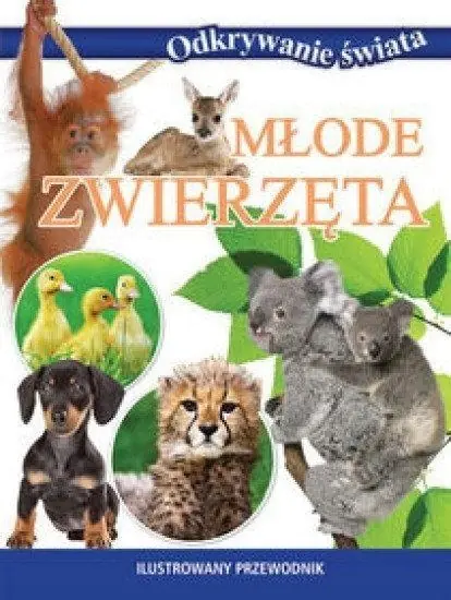 Książka - Odkrywanie świata. Młode zwierzęta