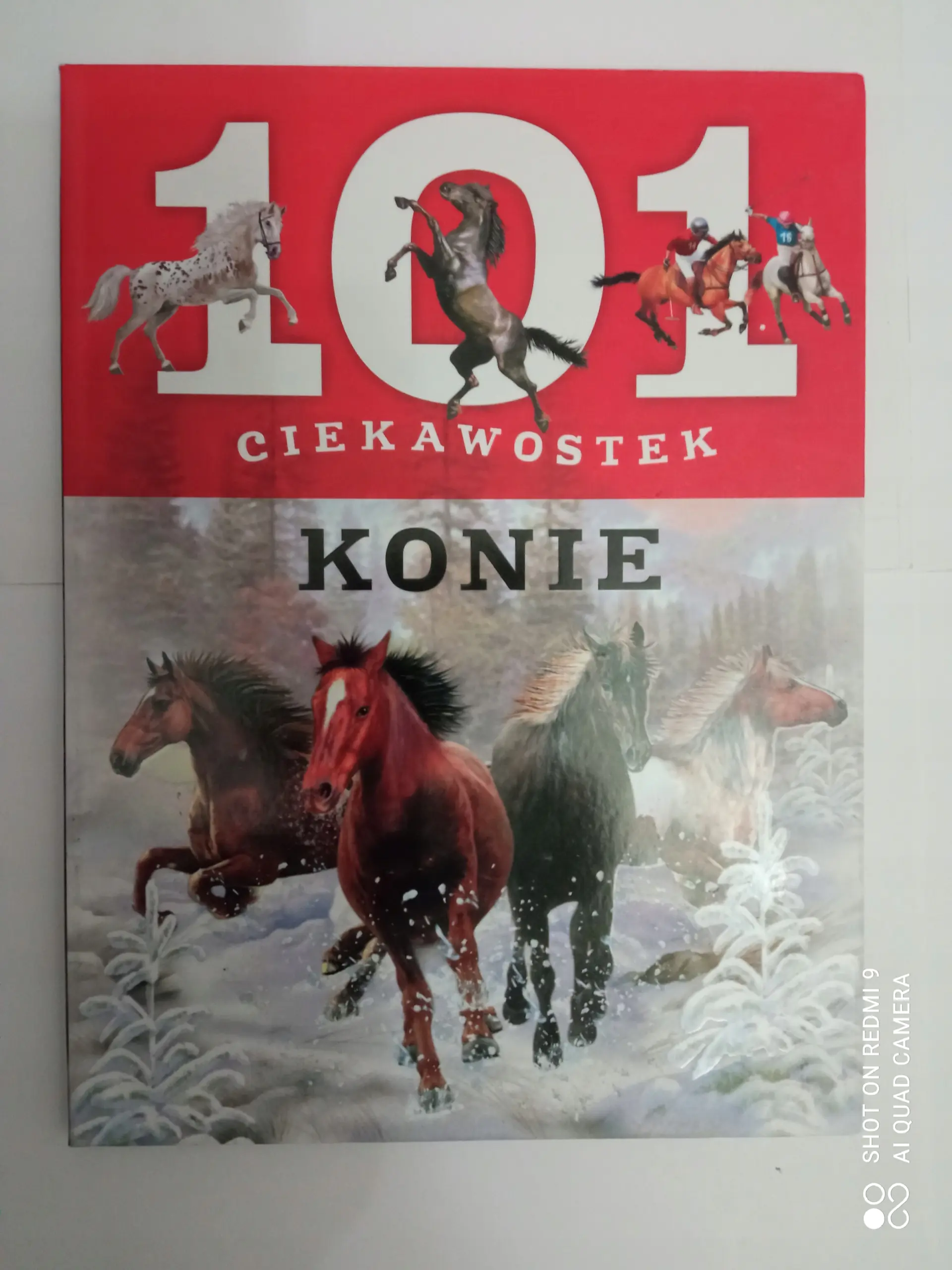 Książka - 101 ciekawostek - Konie