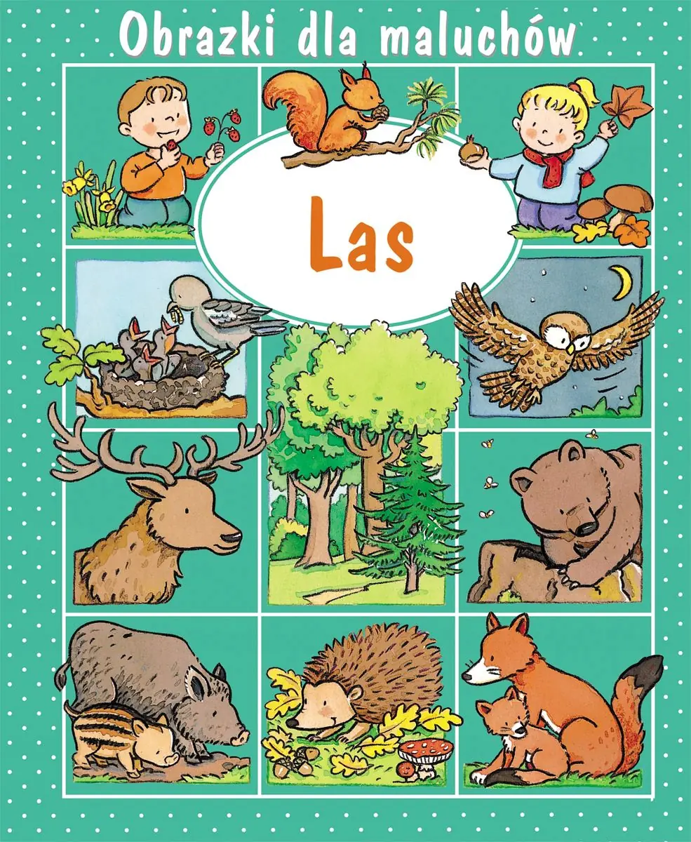Książka - Obrazki dla maluchów. Las w.2015