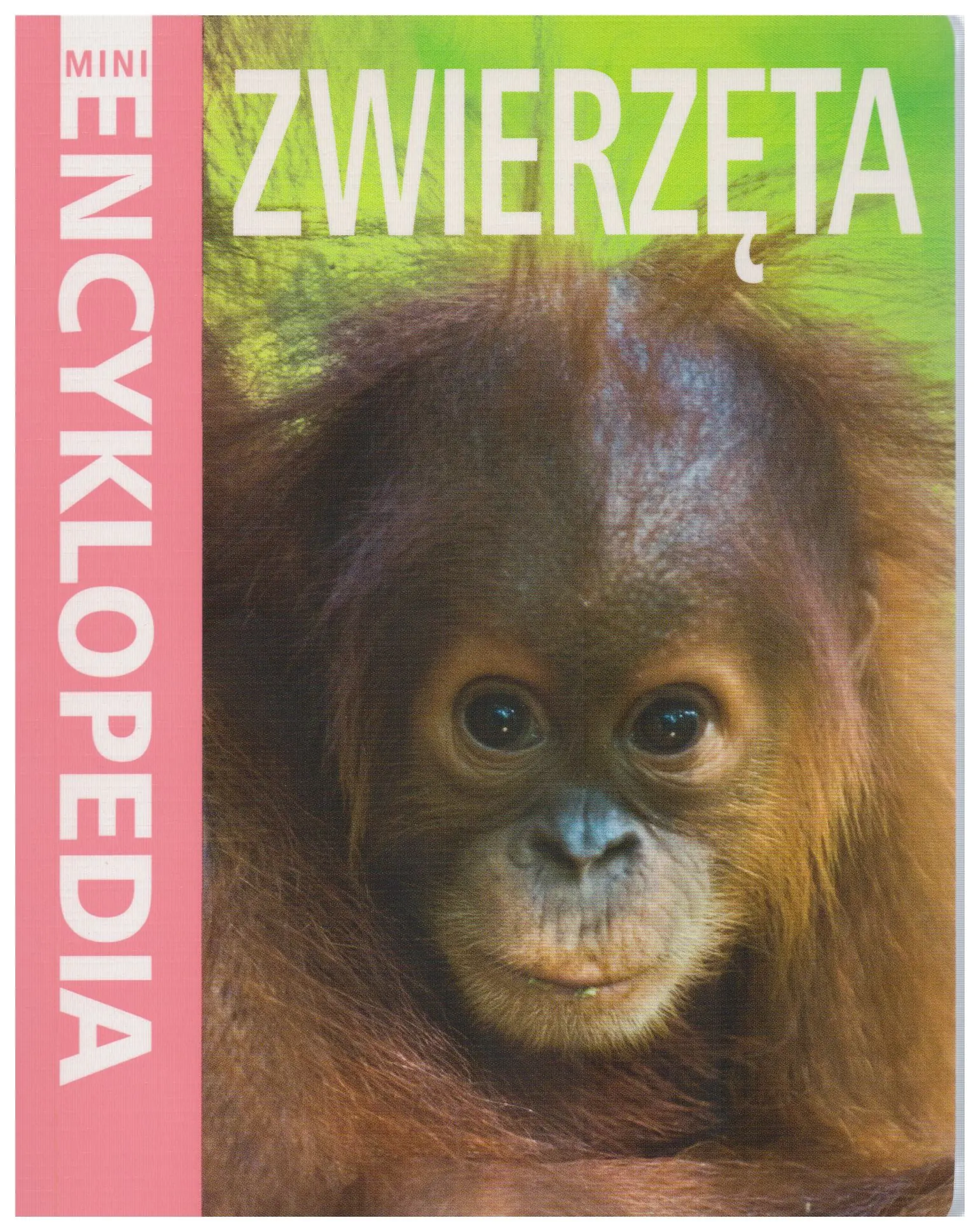 Książka - Mini encyklopedia. Zwierzeta