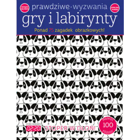 Książka - Prawdziwe wyzwania: Gry i labirynty
