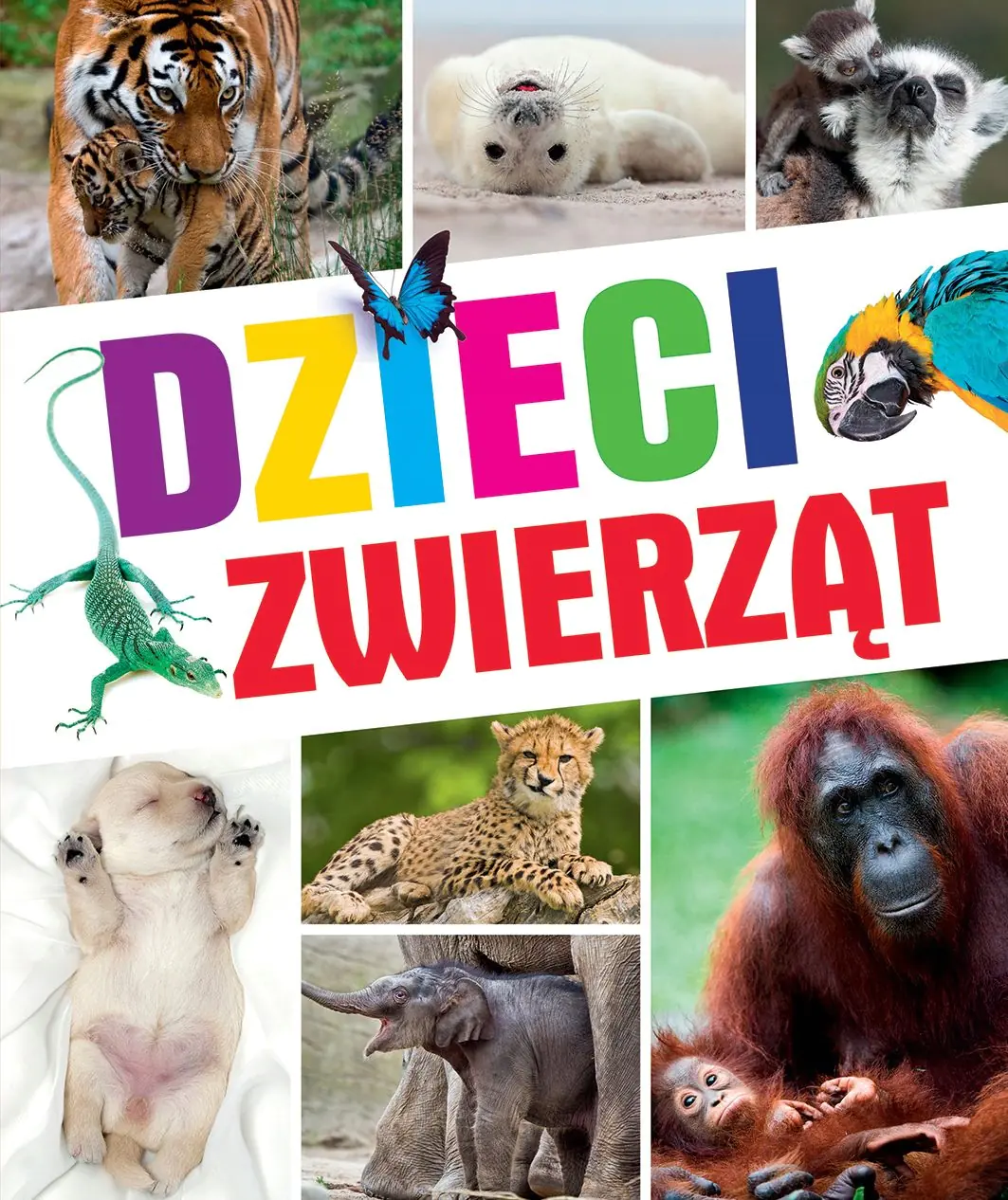 Książka - Dzieci zwierząt