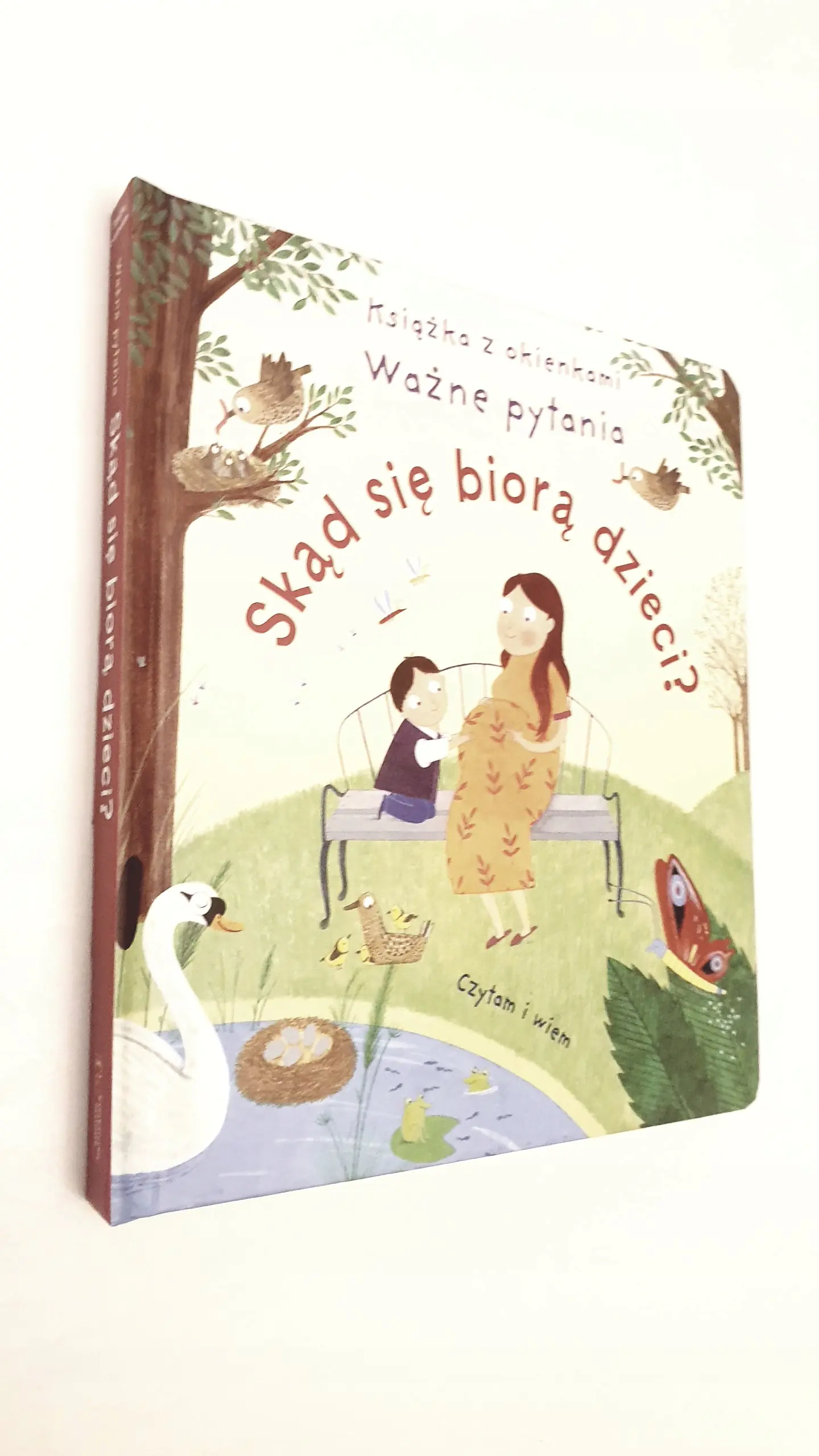 Książka - Jak widzimy? Książka z okienkami. Ważne pytania