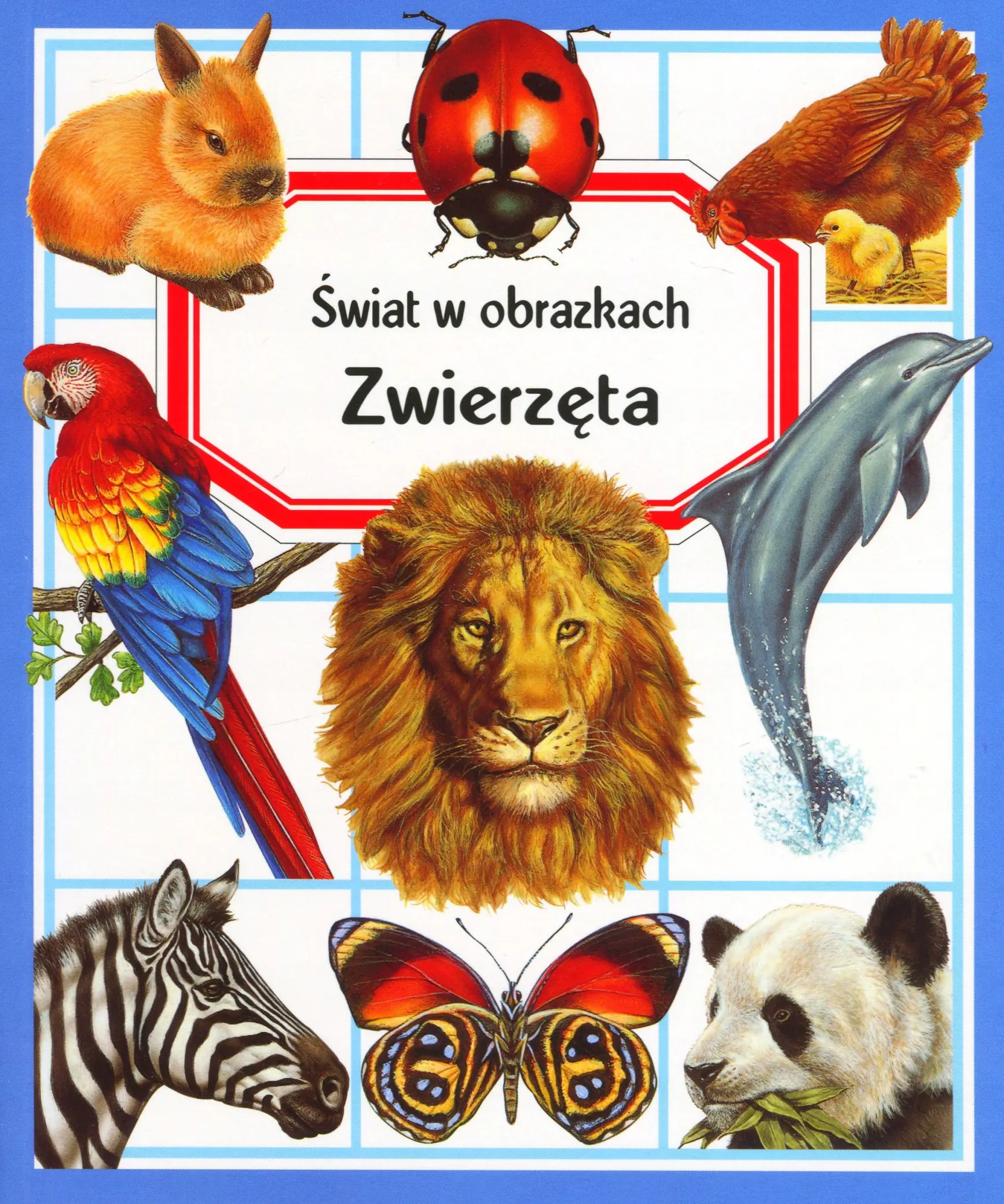 Książka - Świat w obrazkach. Zwierzęta