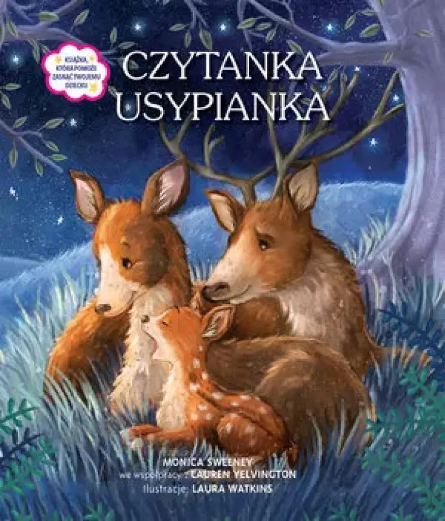 Książka - Czytanka usypianka