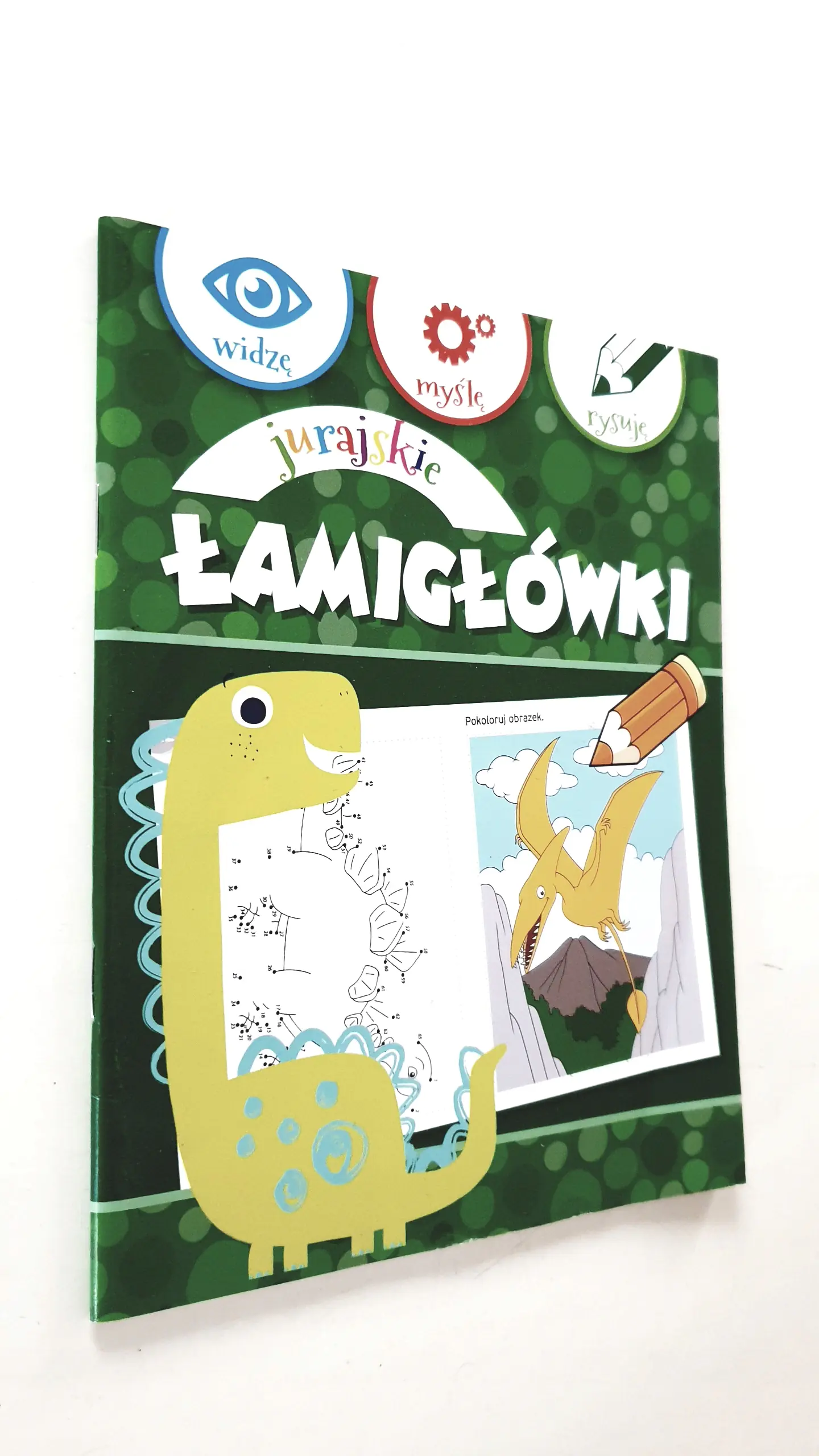 Książka - Jurajskie łamigłówki