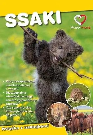 Książka - Ssaki. Ekoprzewodnik młodego odkrywcy