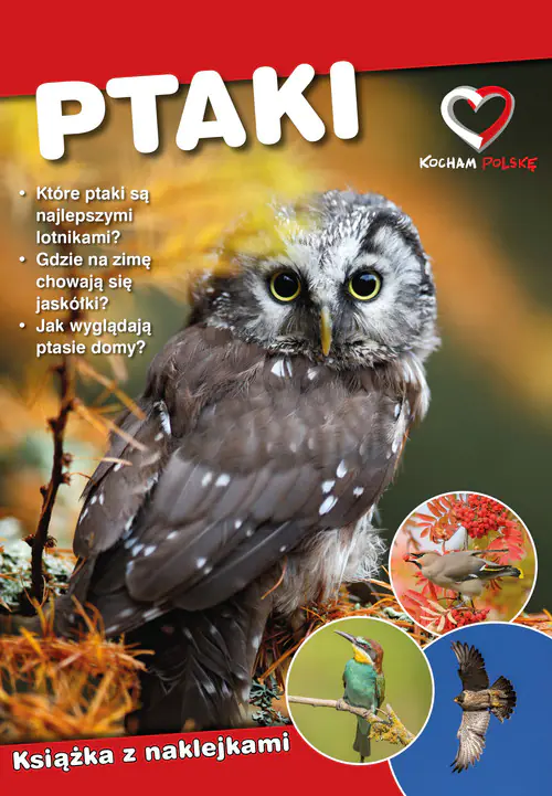 Książka - Ptaki. Ekoprzewodnik młodego odkrywcy